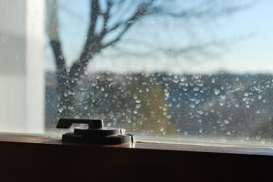 window dirty1 300x200 Specials